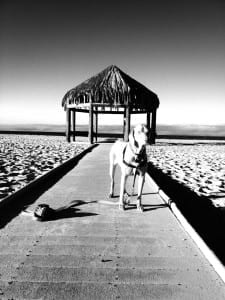 Doheny State Beach Park