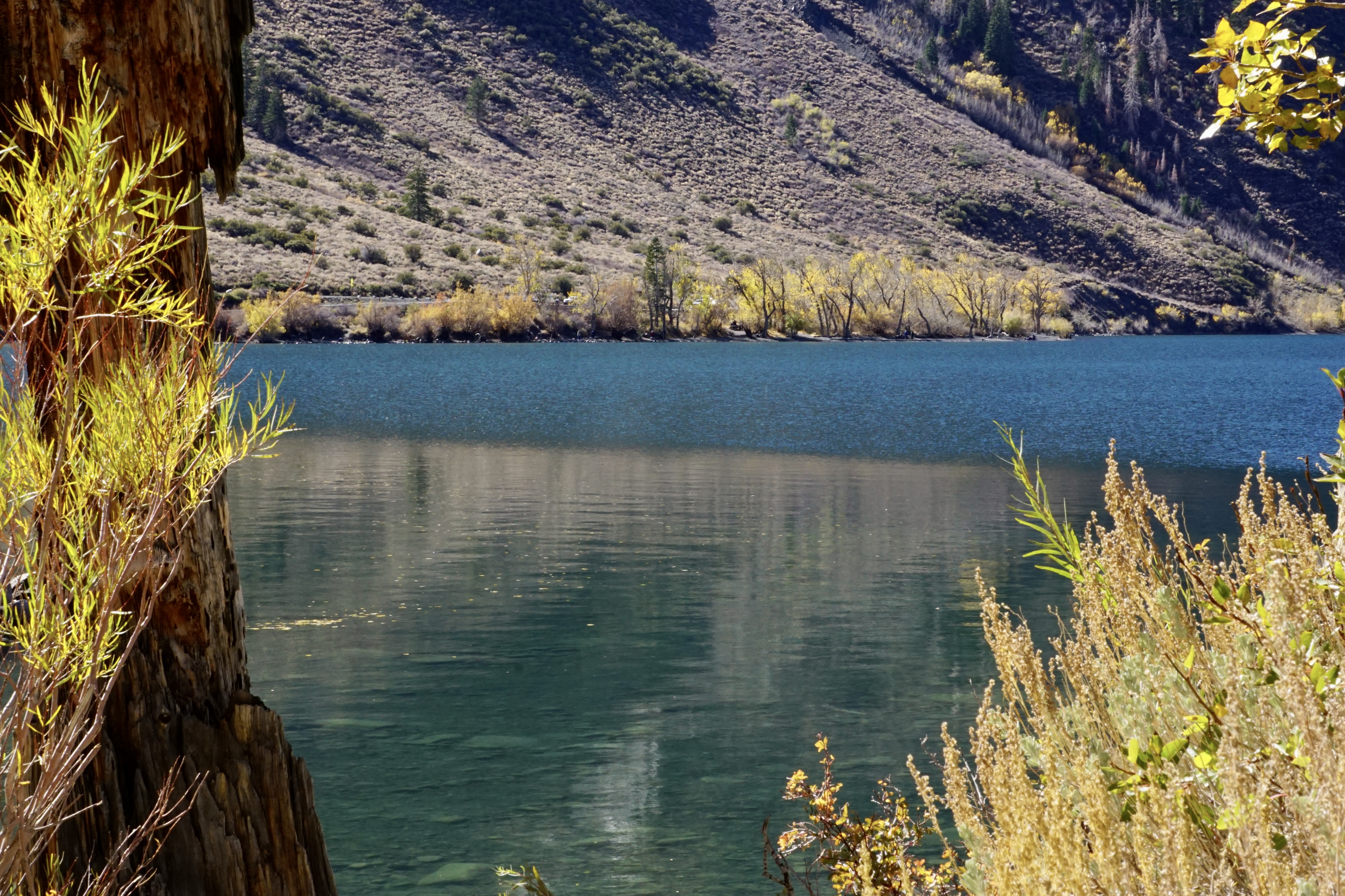 California Fall Colors at Convict Lake