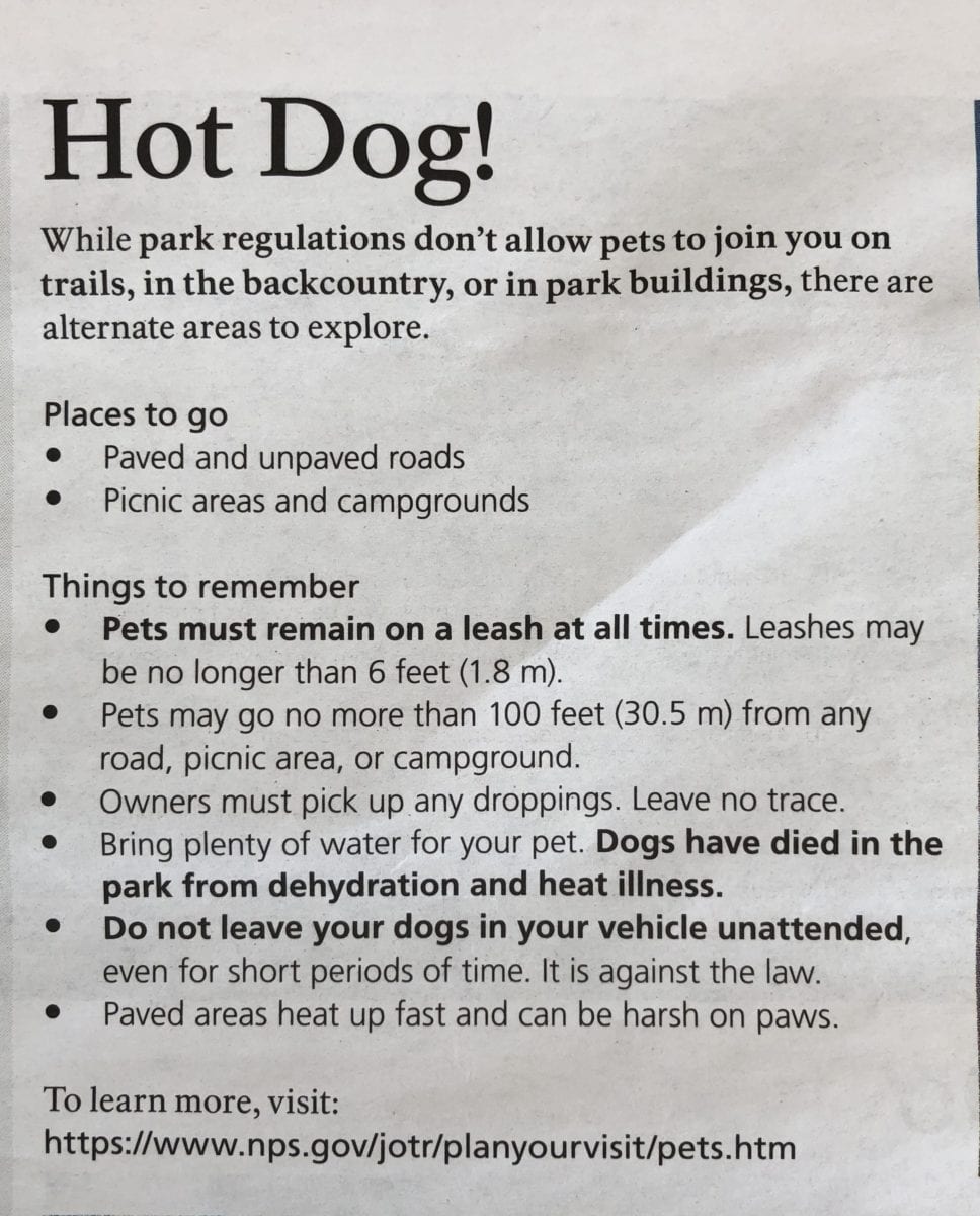 Joshua Tree National Park Dog Rules