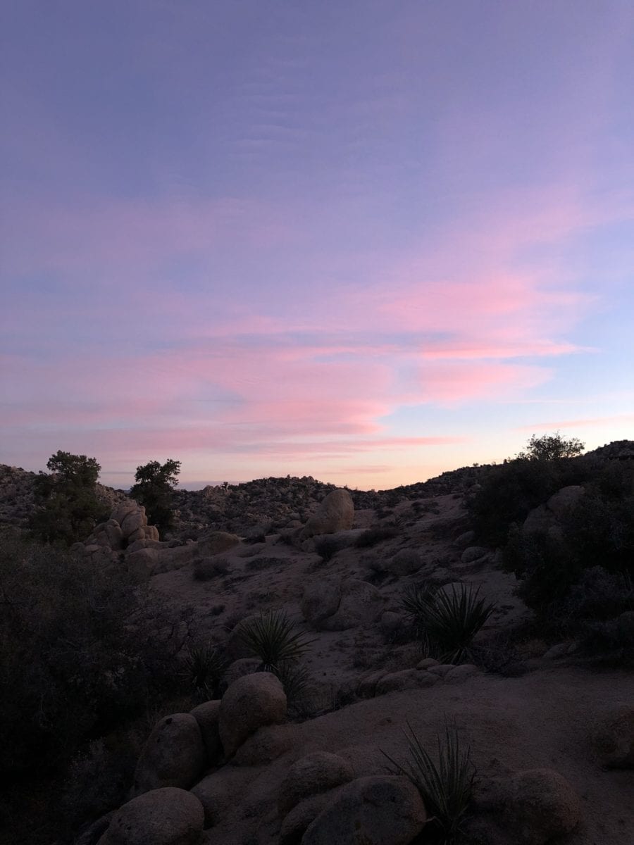 Yucca Valley Sunrise
