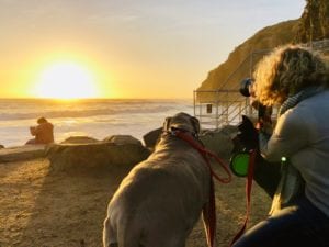 Scooby and Mom Chasing Sunsets