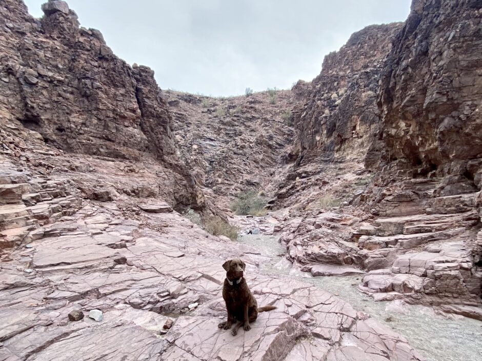 Willlow Hiking Lake Havasu BLM