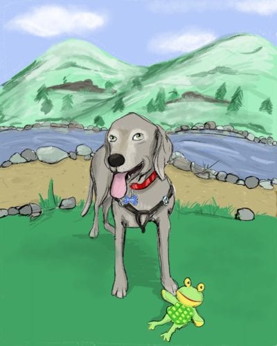 Scoobylife Mountain Theme Illustration