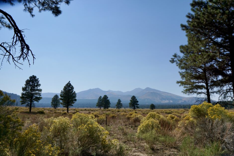 Scenic Drive to Walnut Canyon National Monument