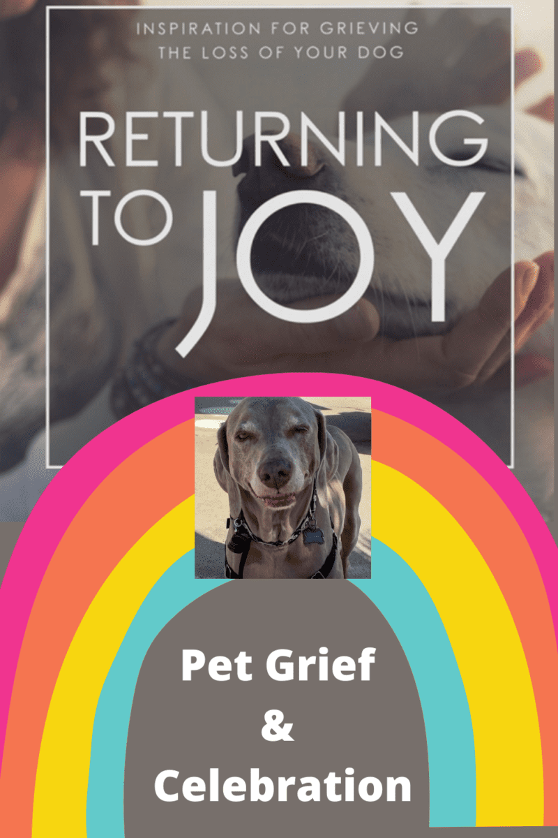 Pet Grief Scooby featured in Returning to JOY