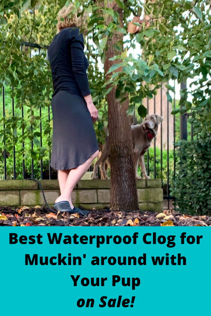 The Best Waterproof Clog