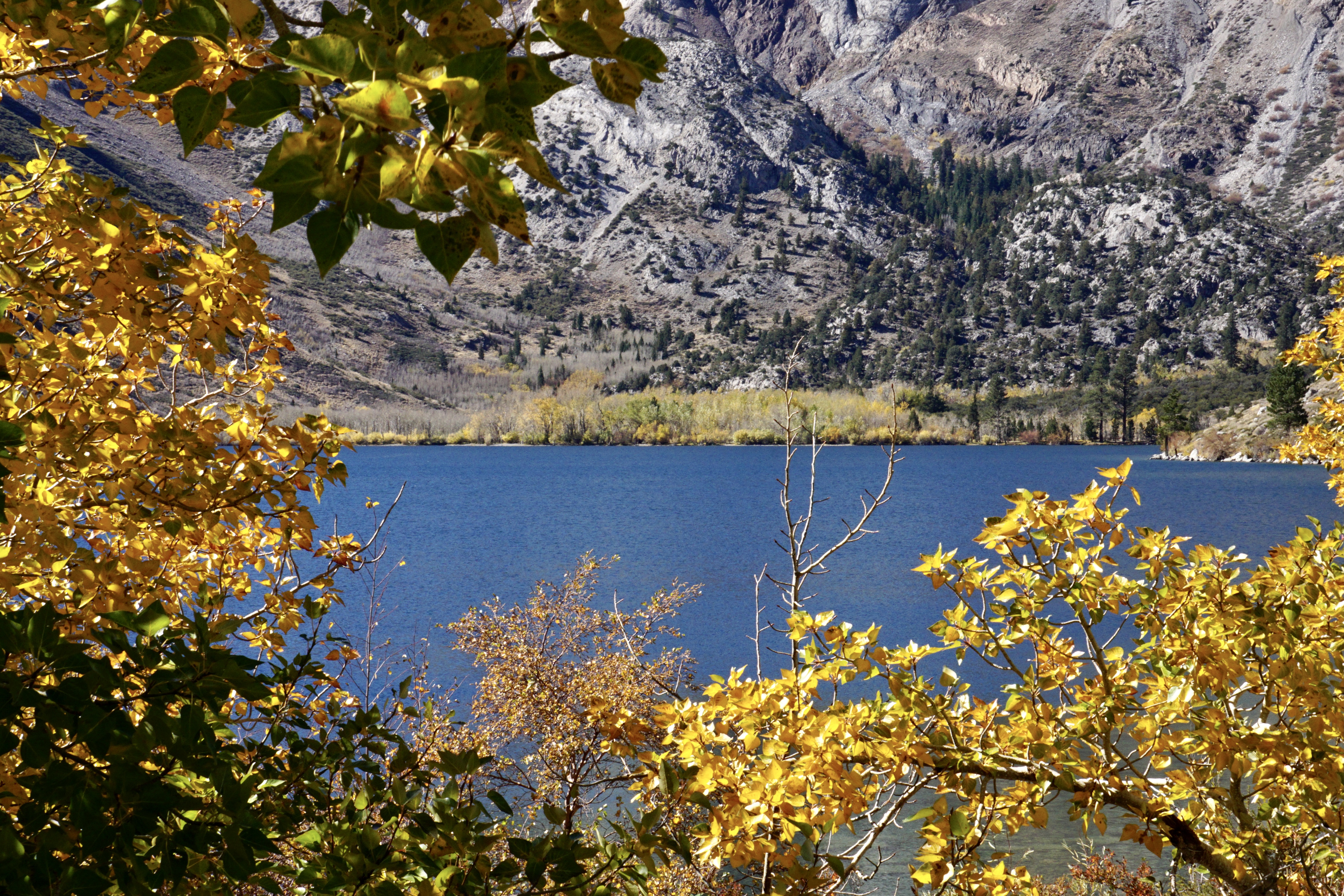 Fall Colors Eastern Sierra at Convict Lake