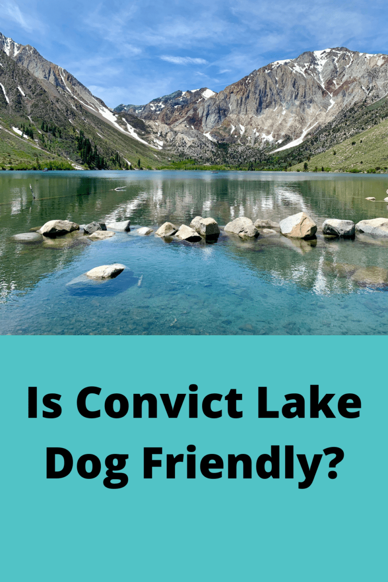 Is Convict Lake Dog Friendly Pin