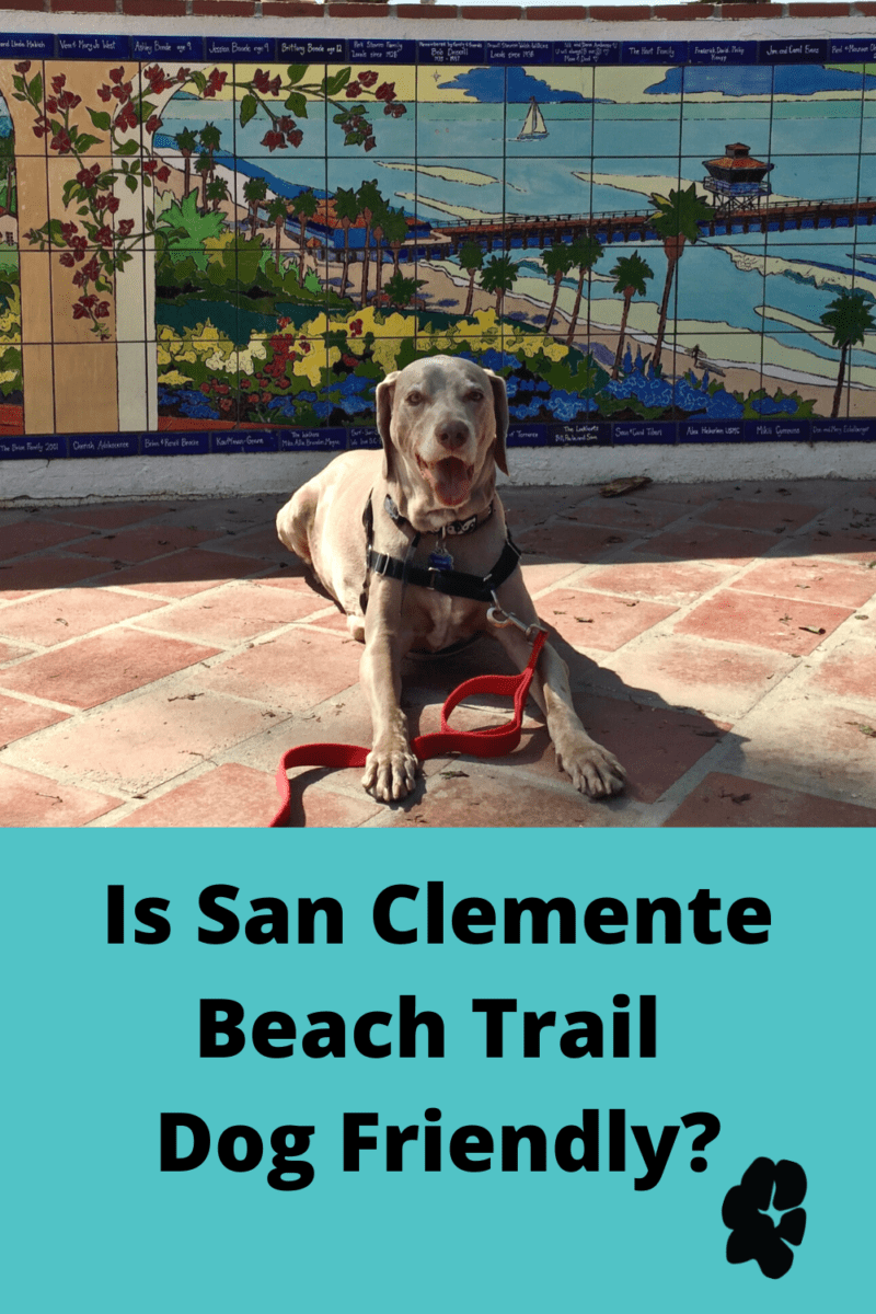 Is San Clemente Beach Trail Dog Friendly?