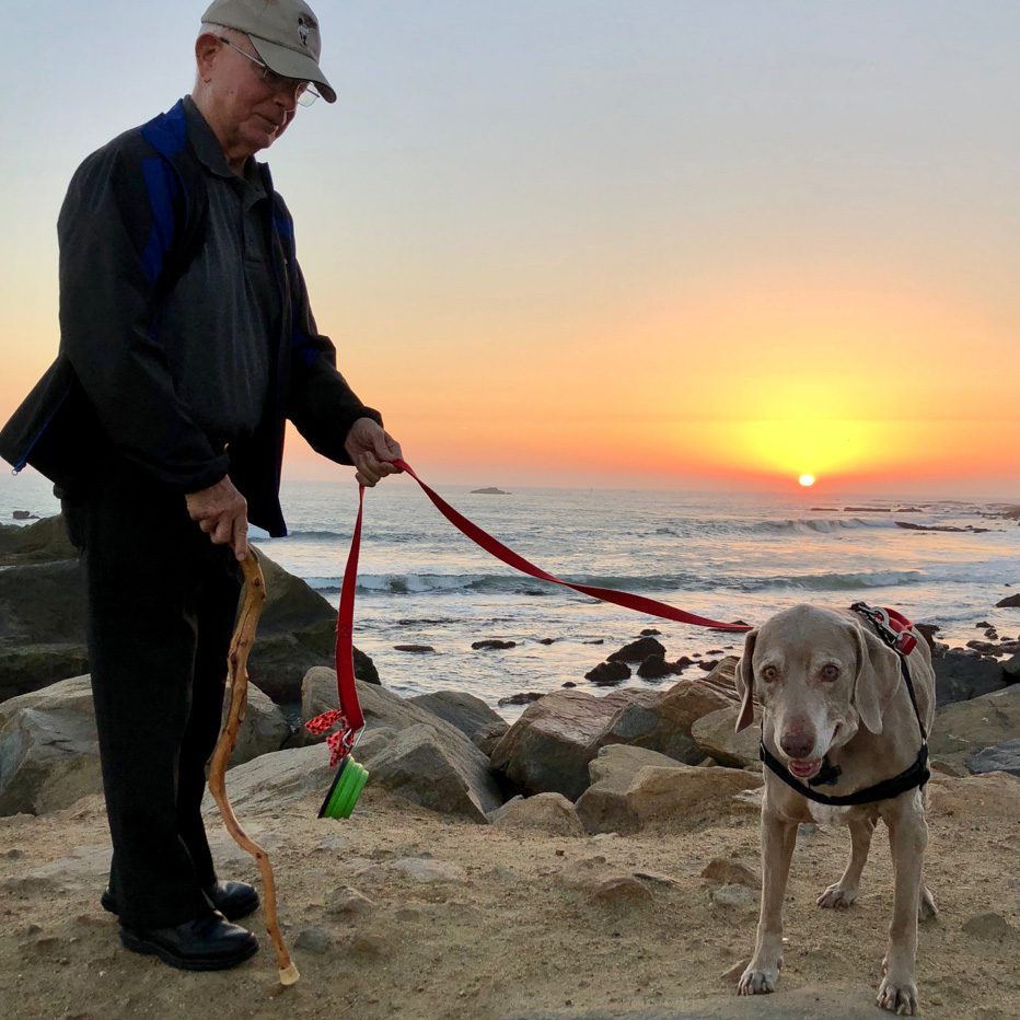 Scooby Chasing Sunsets at Ocean Institute Dana Point Harbor