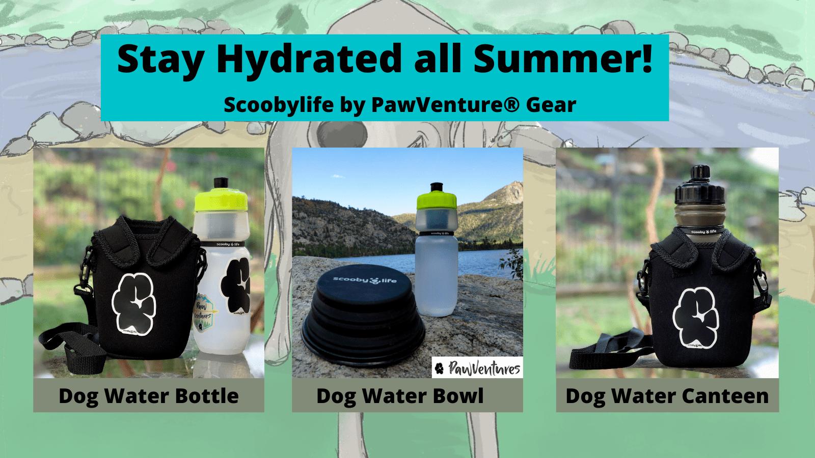 Stay Hydrated all Summer Scoobylife by PawVentures Gear