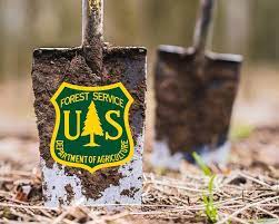 US Forest Service Plant a Tree Program