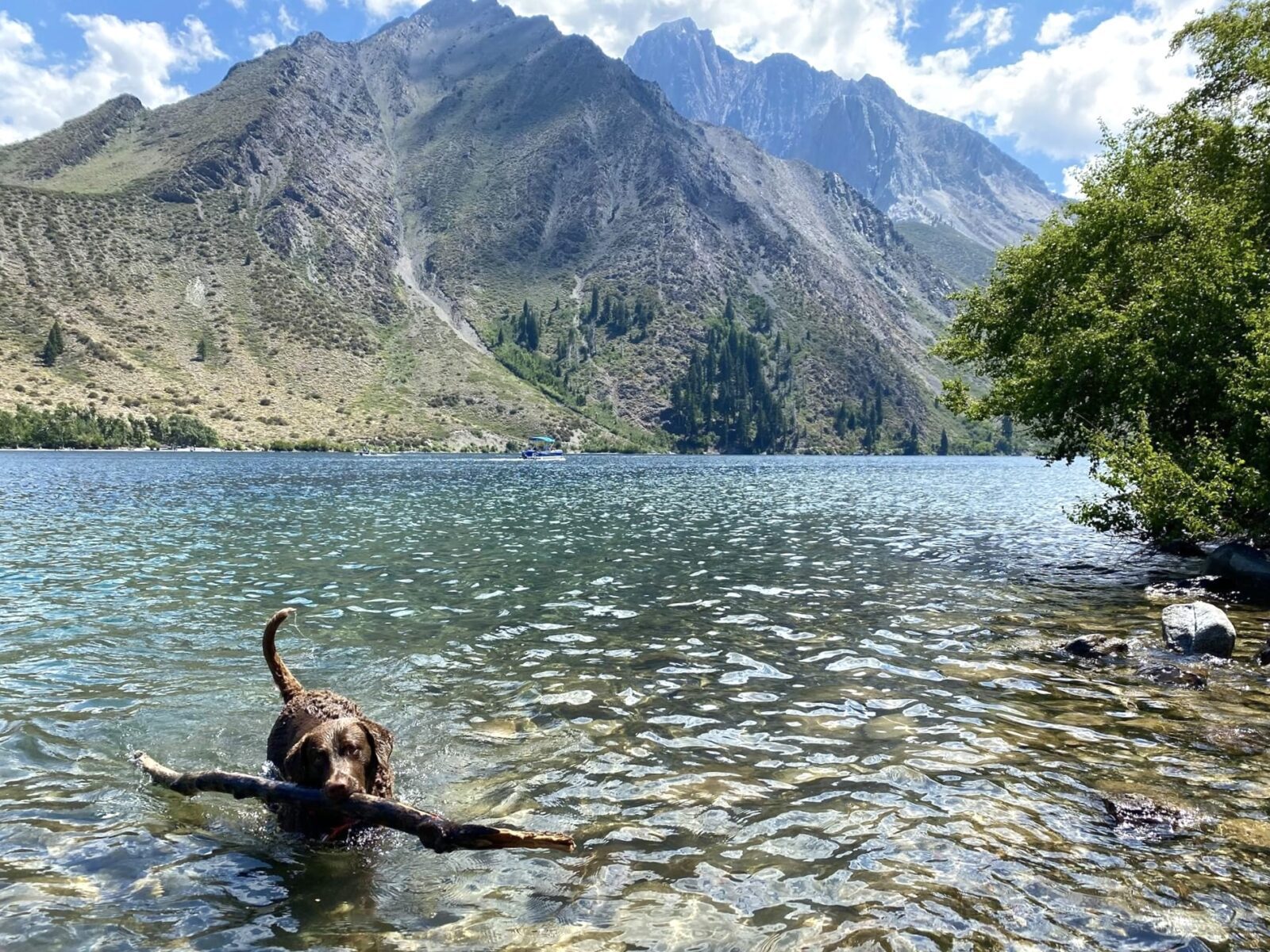 Willow Kendrick Enjoying Convict Lake