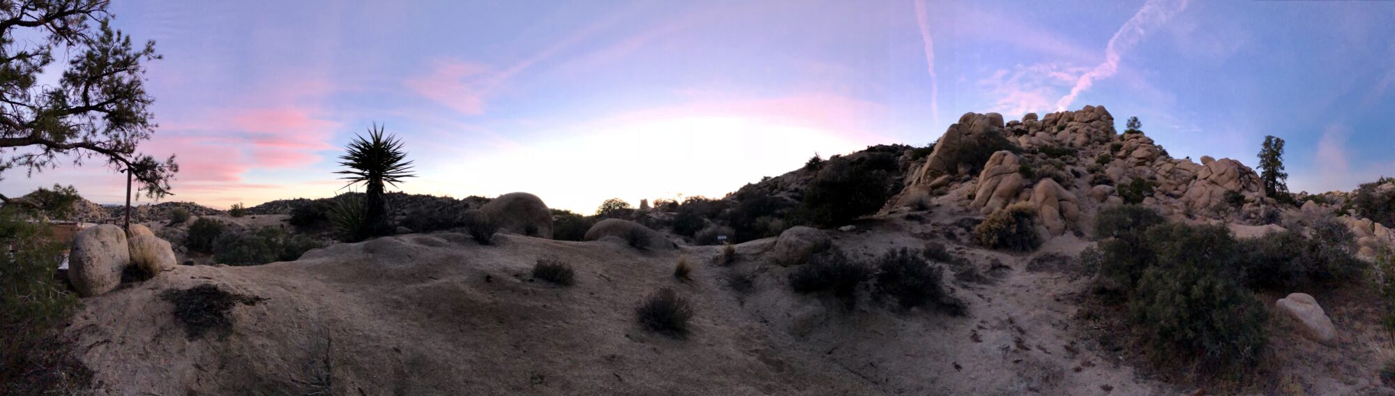 Yucca Valley California