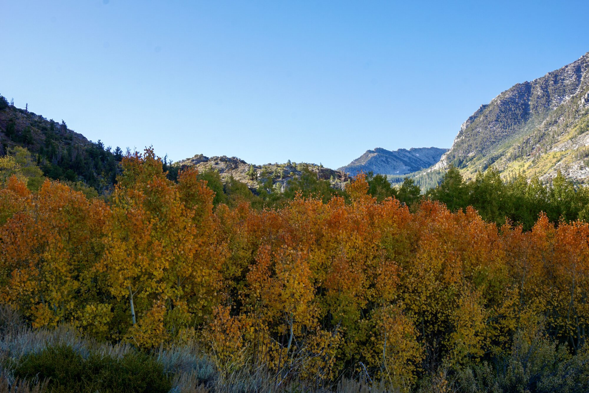 Autumn Color Palette