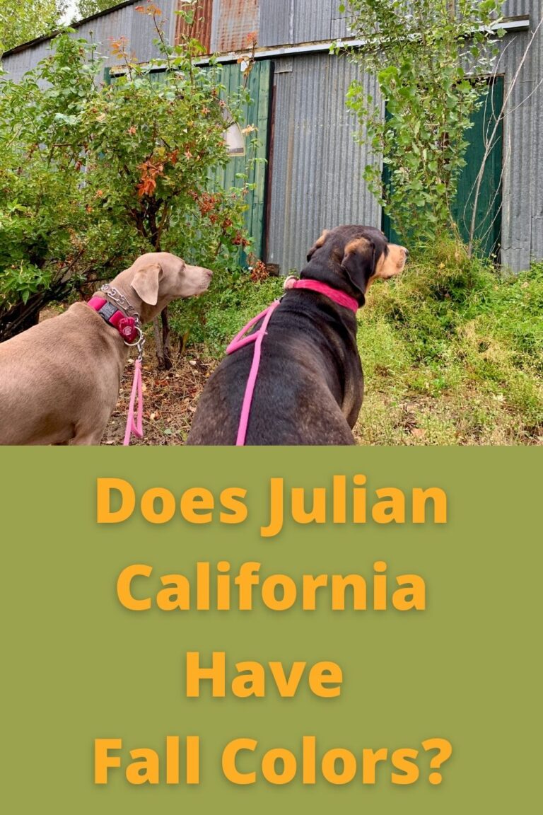 Does Julian California Have Fall Colors?