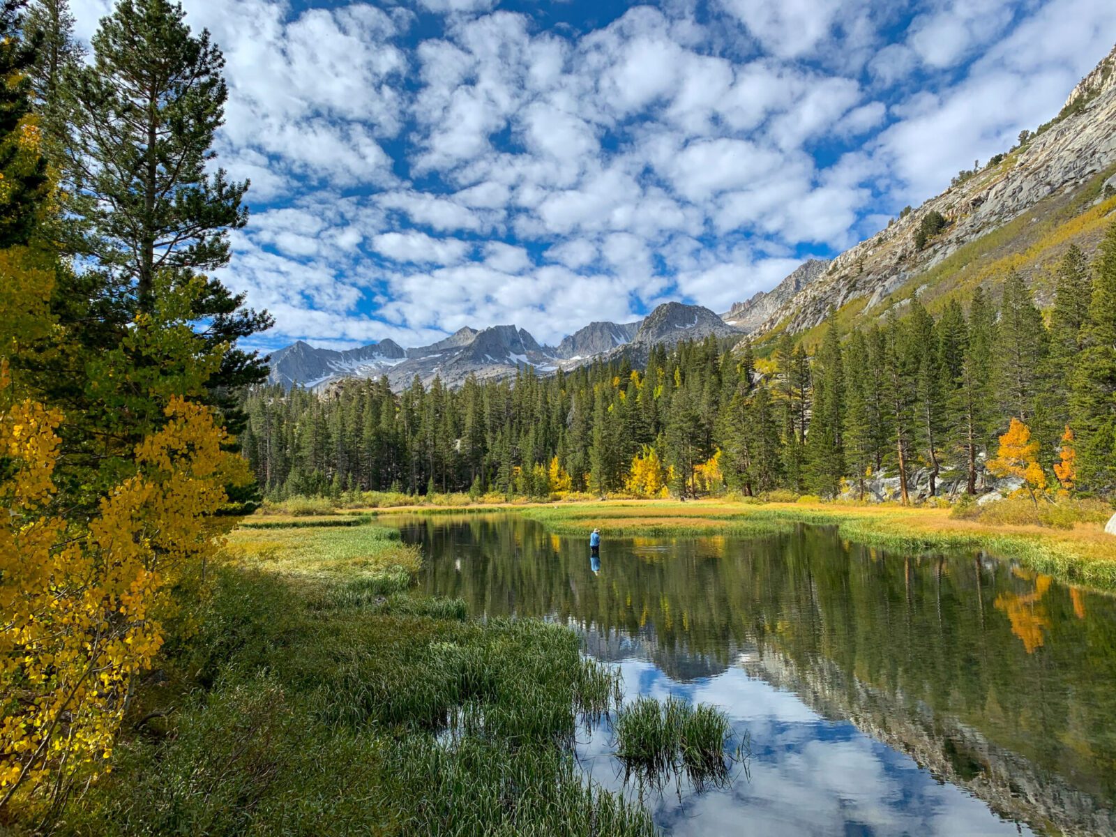 Dog Friendly Fall Foliage