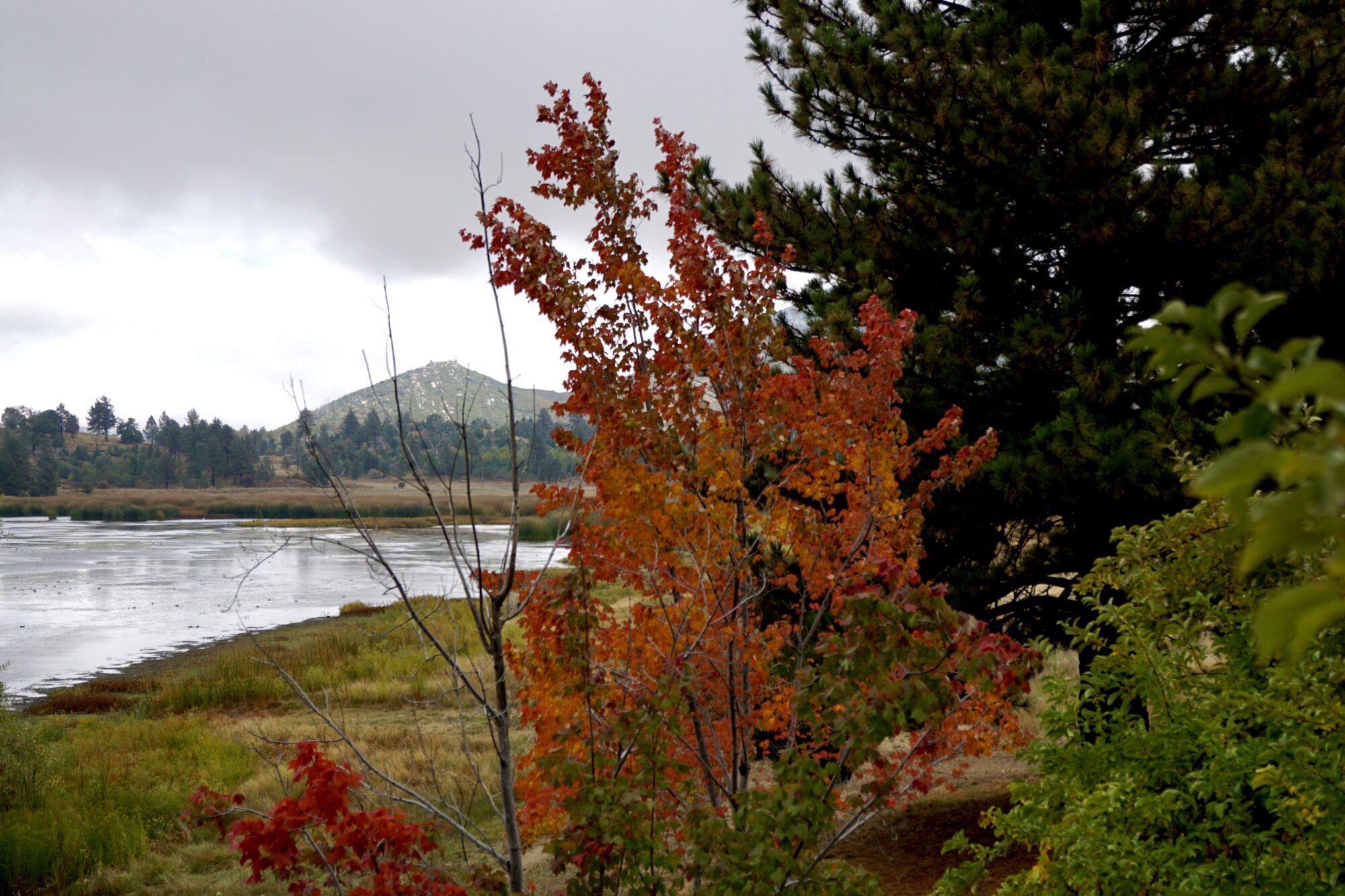 Lake Cuyamaca