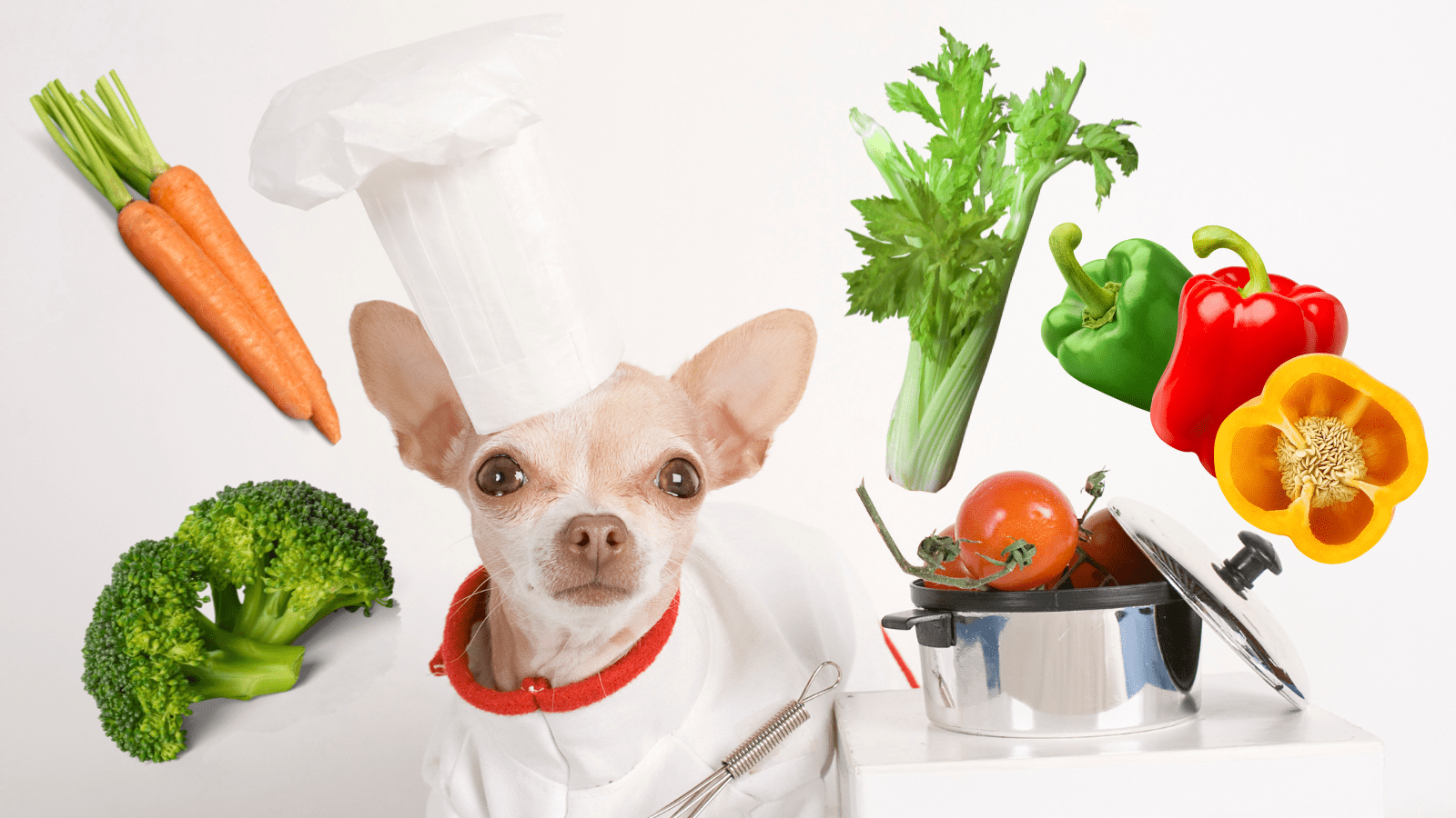 Dog Safe Vegetables