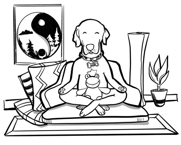 Meditating with Dogs Scooby and Froggy
