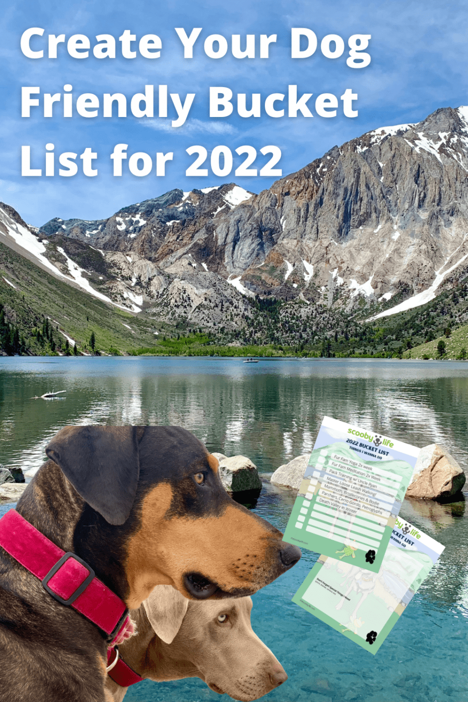 Create Your Dog Friendly Bucket List for 2022 Pin