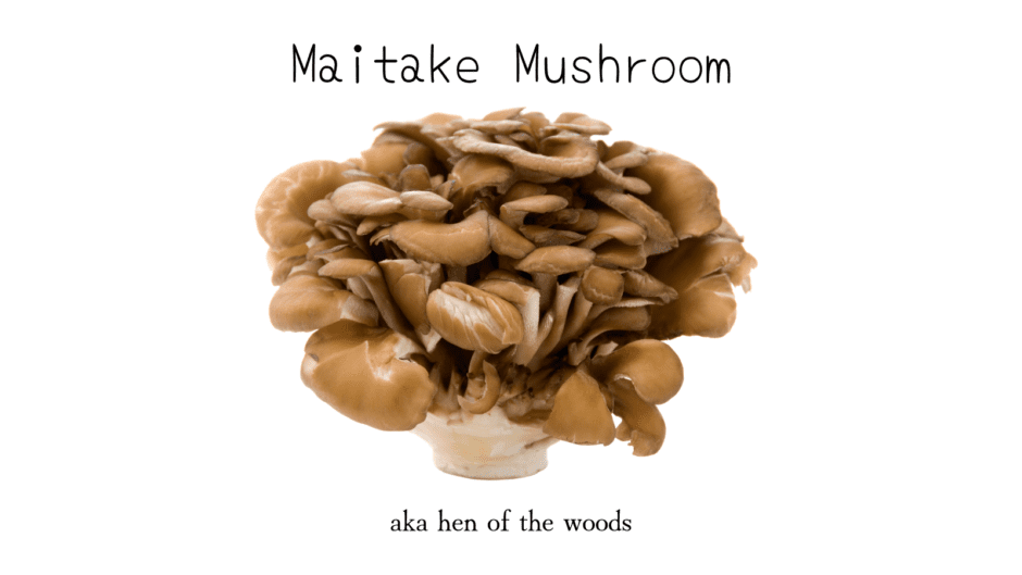 What is a Maitake Mushroom