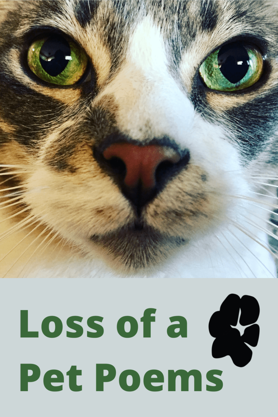 Loss of a Pet Poems PIn
