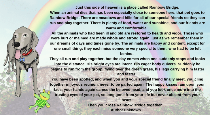 Rainbow Bridge Poem for Pets