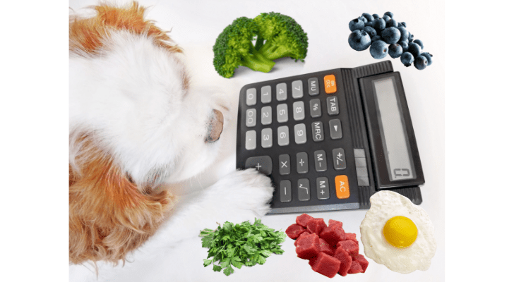 How Much Homemade Dog Food to Feed Your Dog