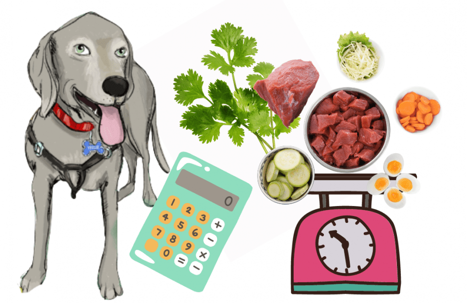 How Much Should I Feed My Dog Calculator