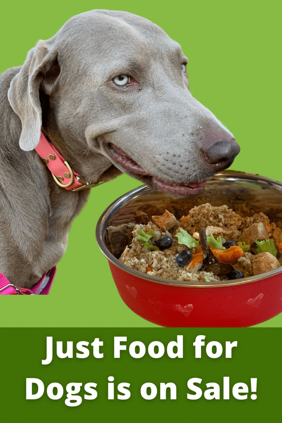 Just Food for Dogs is on Sale