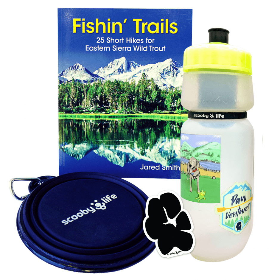 Scoobylife PawVentures Gift For Dogs Filtered Bottle Fishin Trails Bowl Stickers White