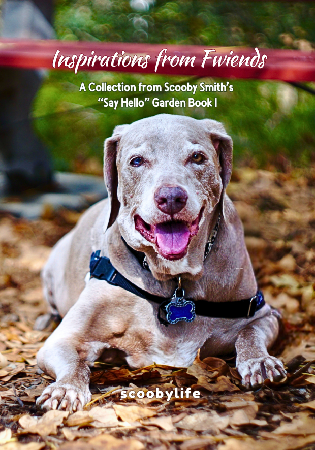 Inspirations from Fwiends 