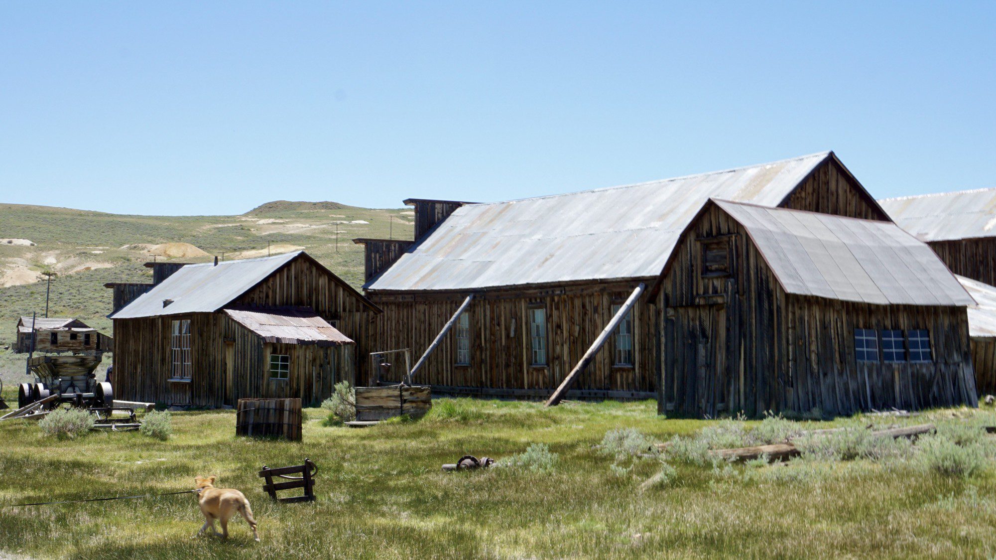 Dog Friendly Bodie CA