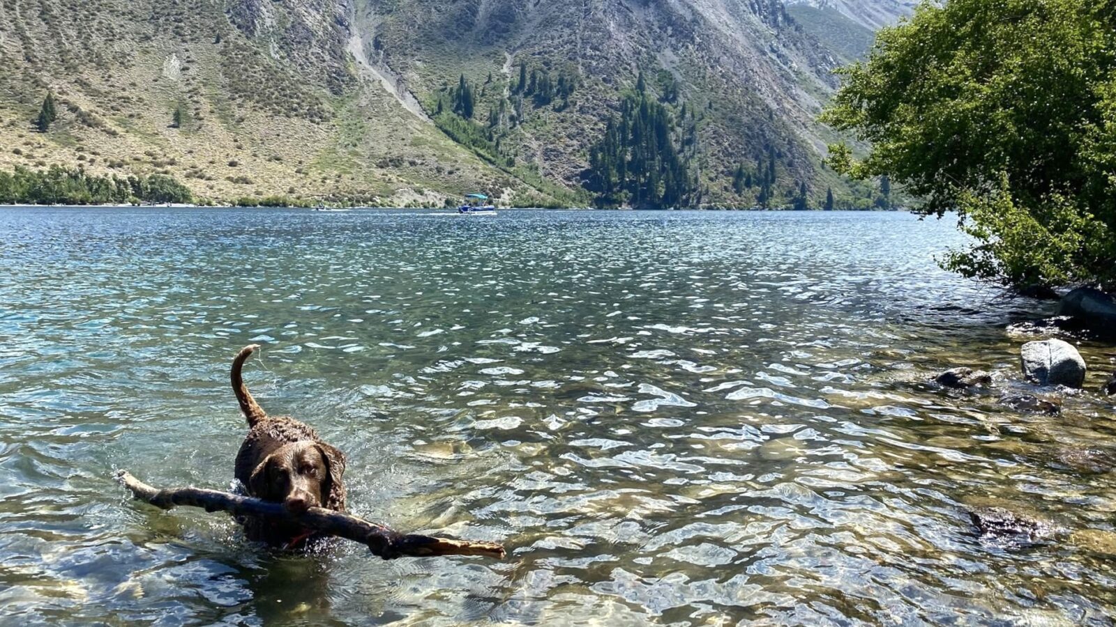 Willow Kendrick Enjoying Convict Lake