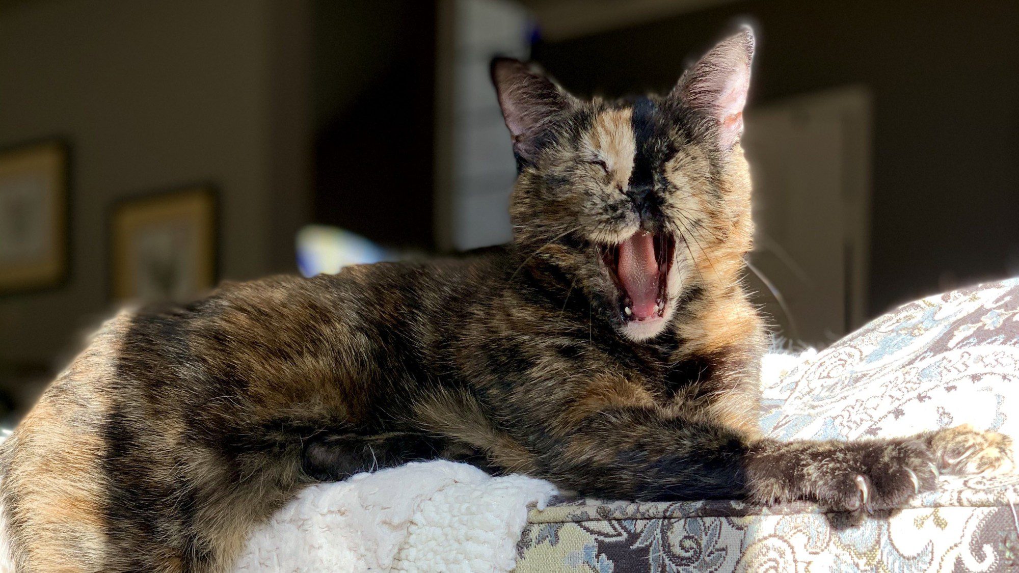 Lovey Smith, Bestest Sister