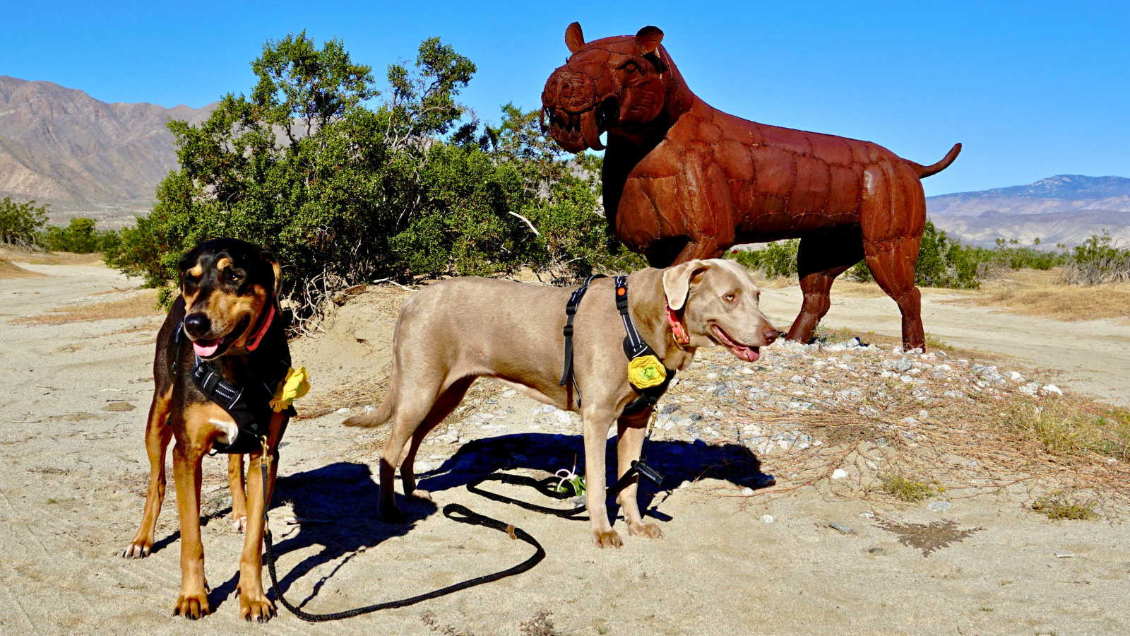 Ella and Luna at Galleta Meadows Ricardo Breceda Sculptures