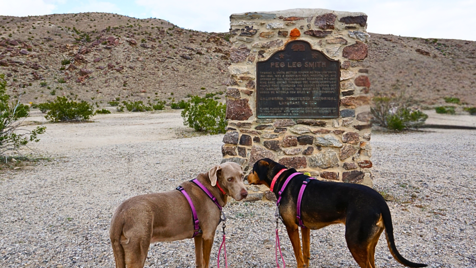 Luna and Ella Visiting Peg Leg Smith Historical Marker