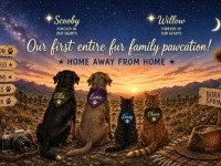 furSmith PawCaation under the Borrego Springs Milky Way with Scooby and Willow shining above