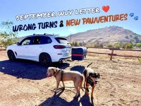 September WUV Letter Wrong Turns & New PawVentures